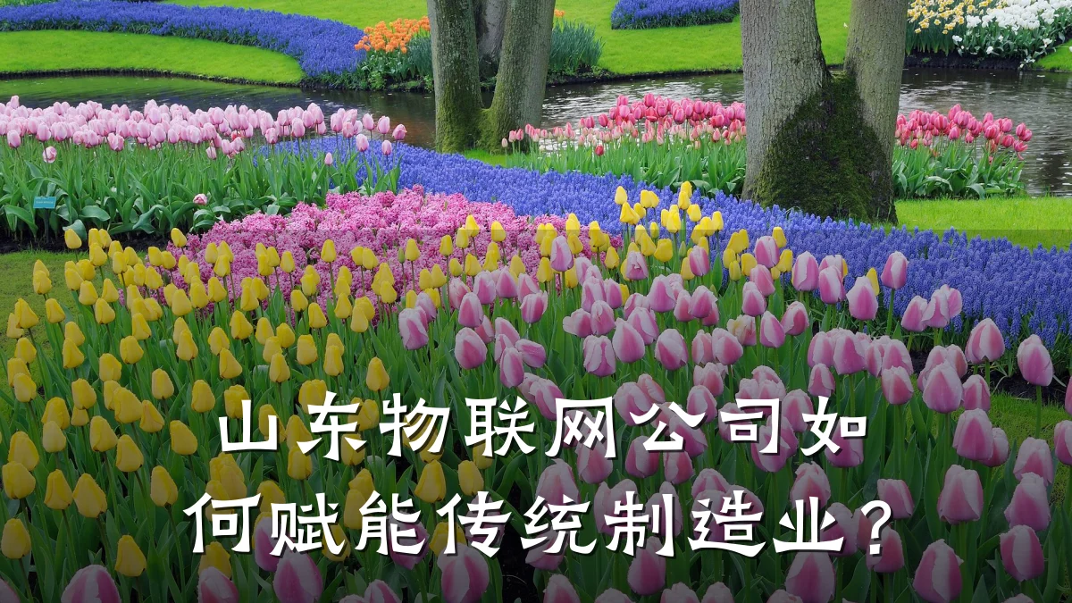 山东物联网公司如何赋能传统制造业？
