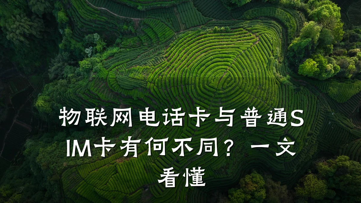 物联网电话卡与普通SIM卡有何不同?一文看懂