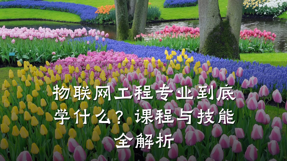 物联网工程专业到底学什么?课程与技能全解析