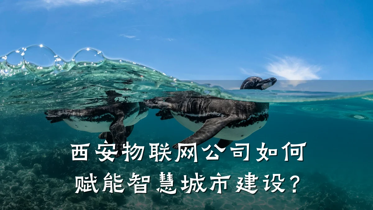 西安物联网公司如何赋能智慧城市建设?