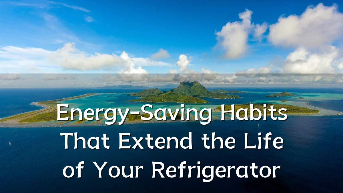 Energy-Saving Habits That Extend the Life of Your Refrigerator