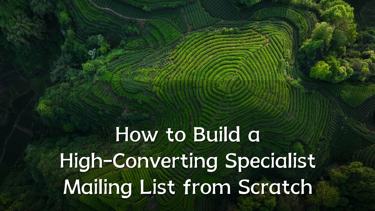 How to Build a High-Converting Specialist Mailing List from Scratch