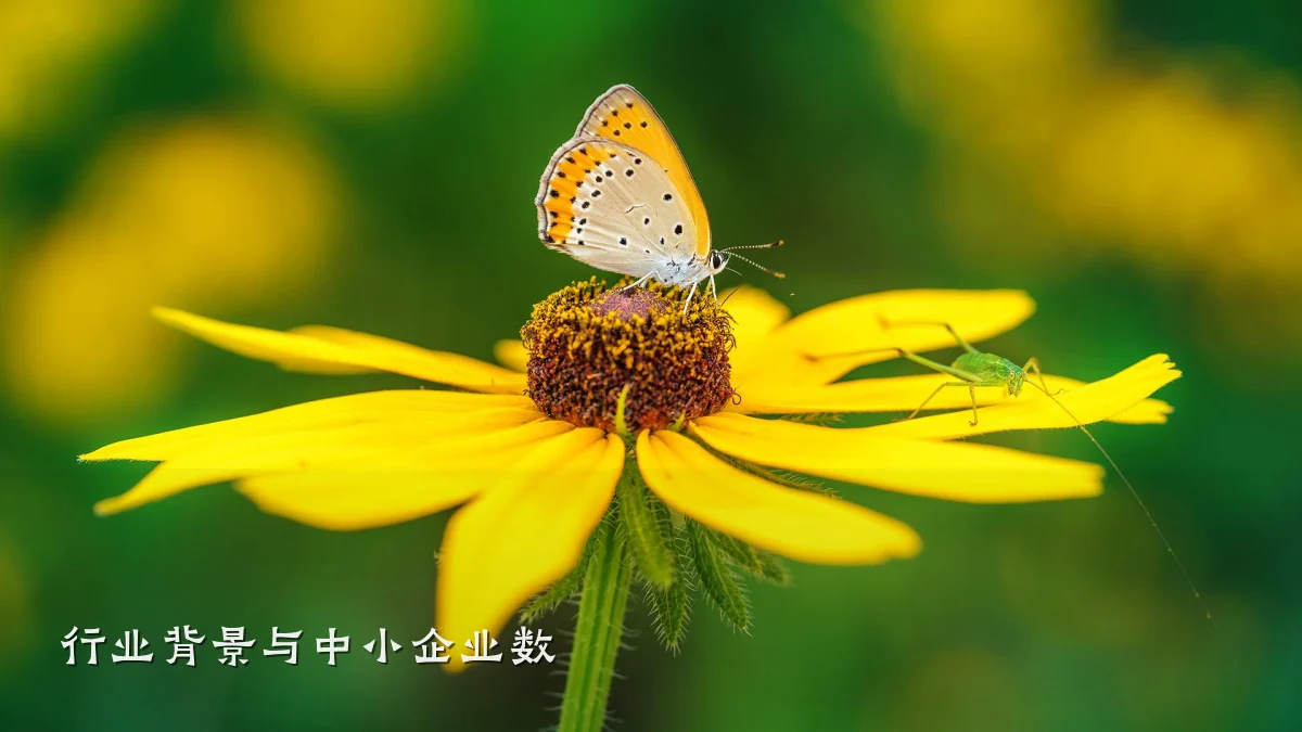 行业背景与中小企业数