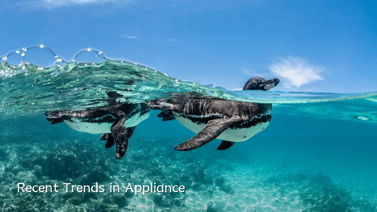 Recent Trends in Appliance