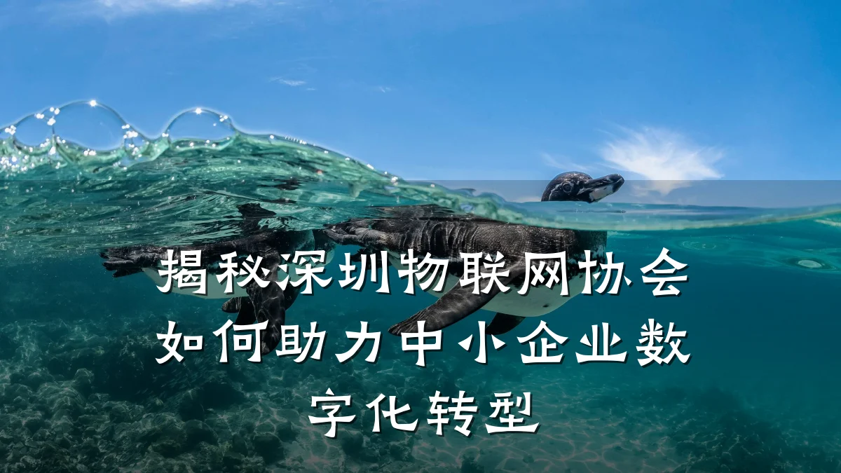 揭秘深圳物联网协会如何助力中小企业数字化转型