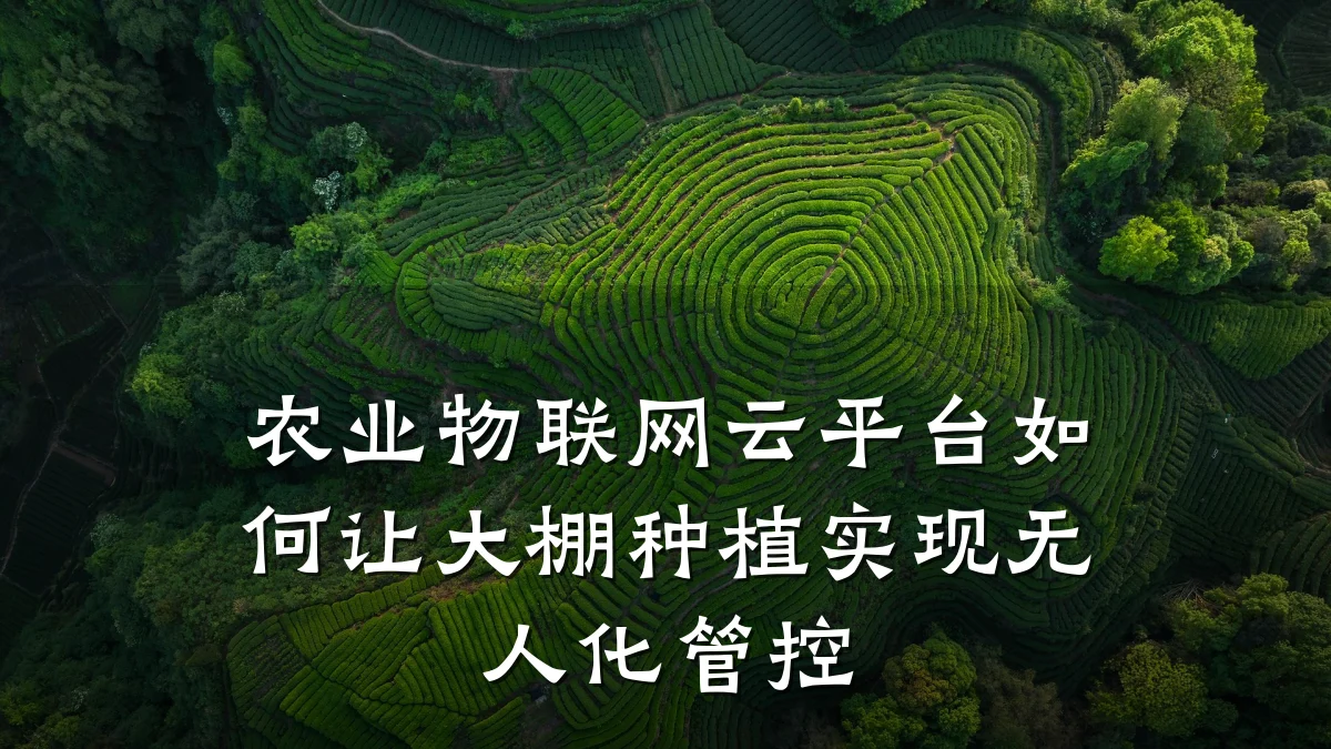 农业物联网云平台如何让大棚种植实现无人化管控