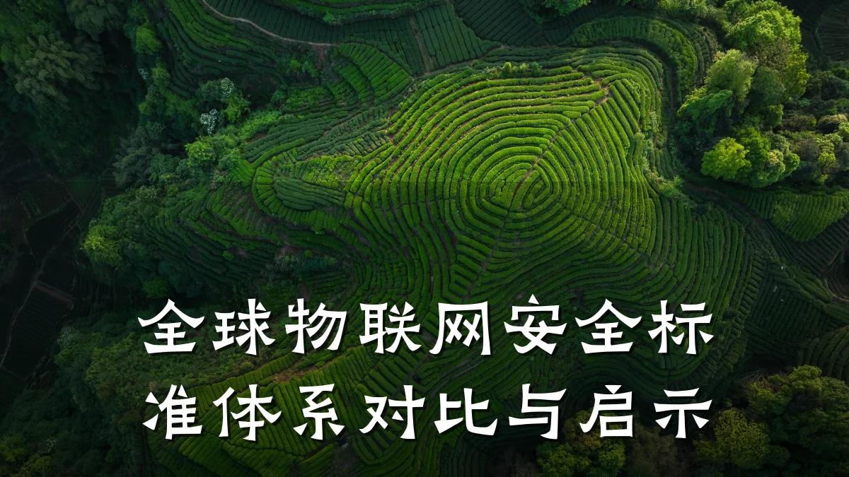 全球物联网安全标准体系对比与启示