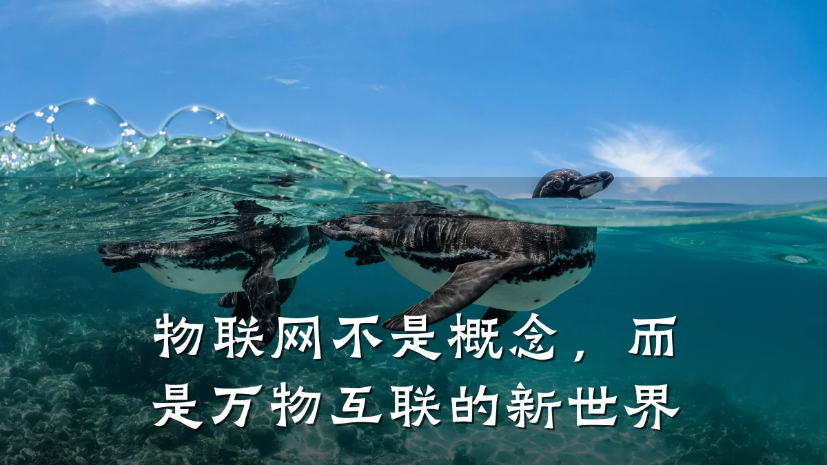 物联网不是概念,而是万物互联的新世界