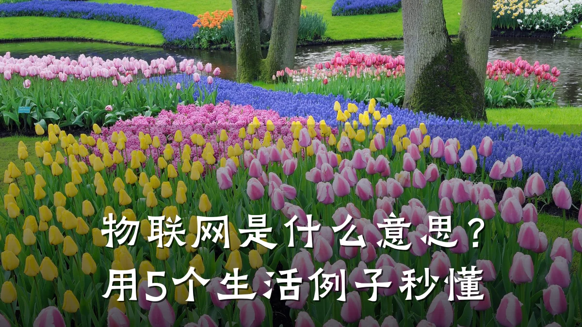 物联网是什么意思?用5个生活例子秒懂