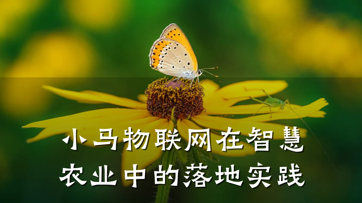 小马物联网在智慧农业中的落地实践