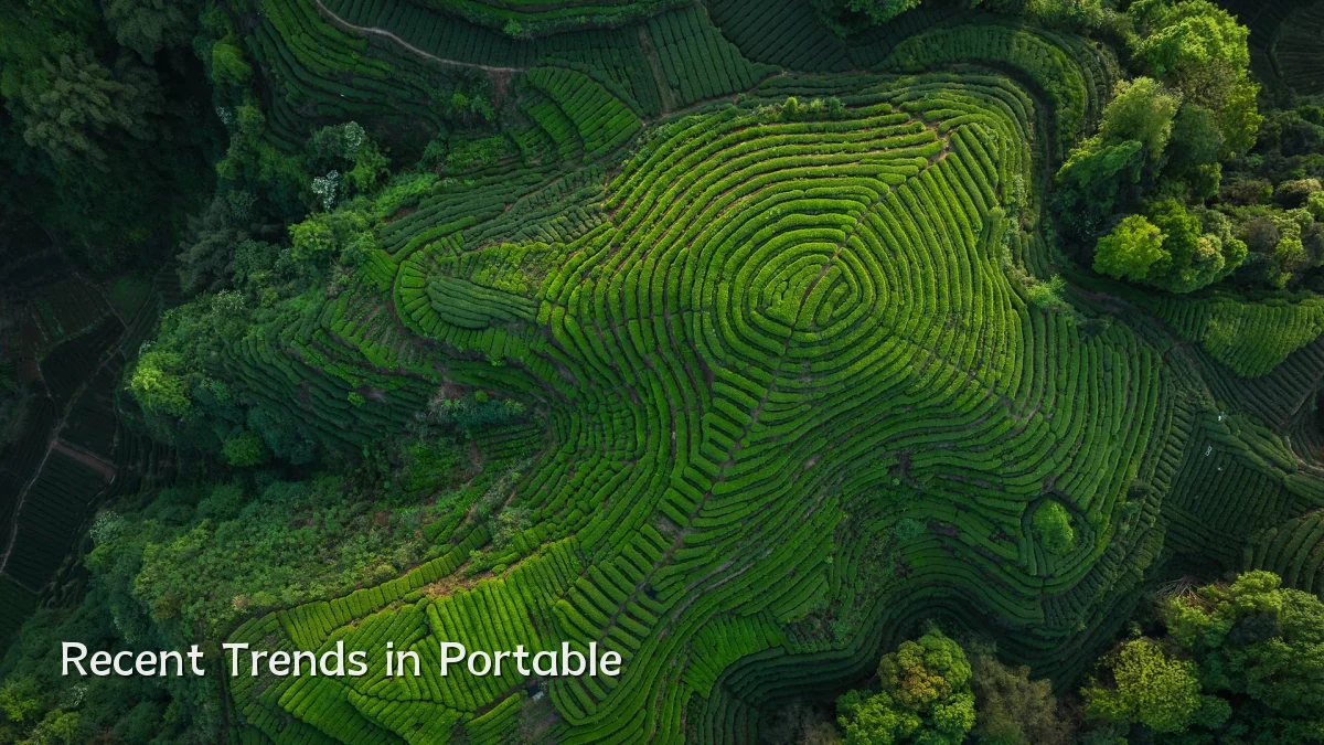 Recent Trends in Portable