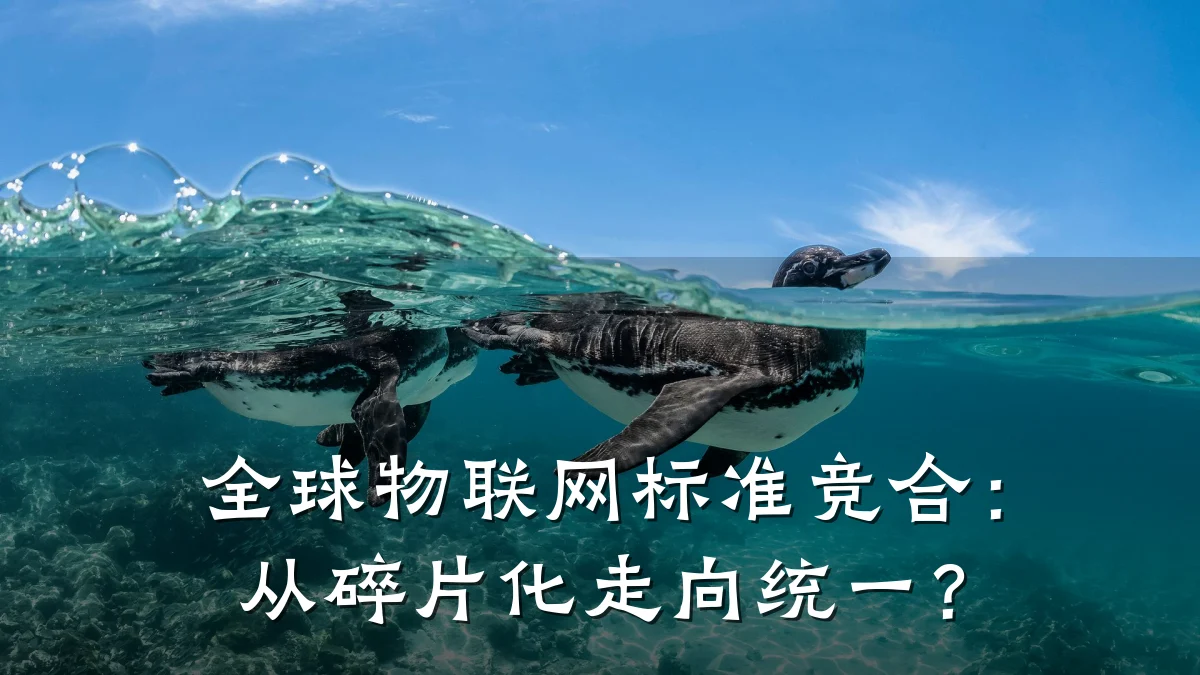 全球物联网标准竞合：从碎片化走向统一？