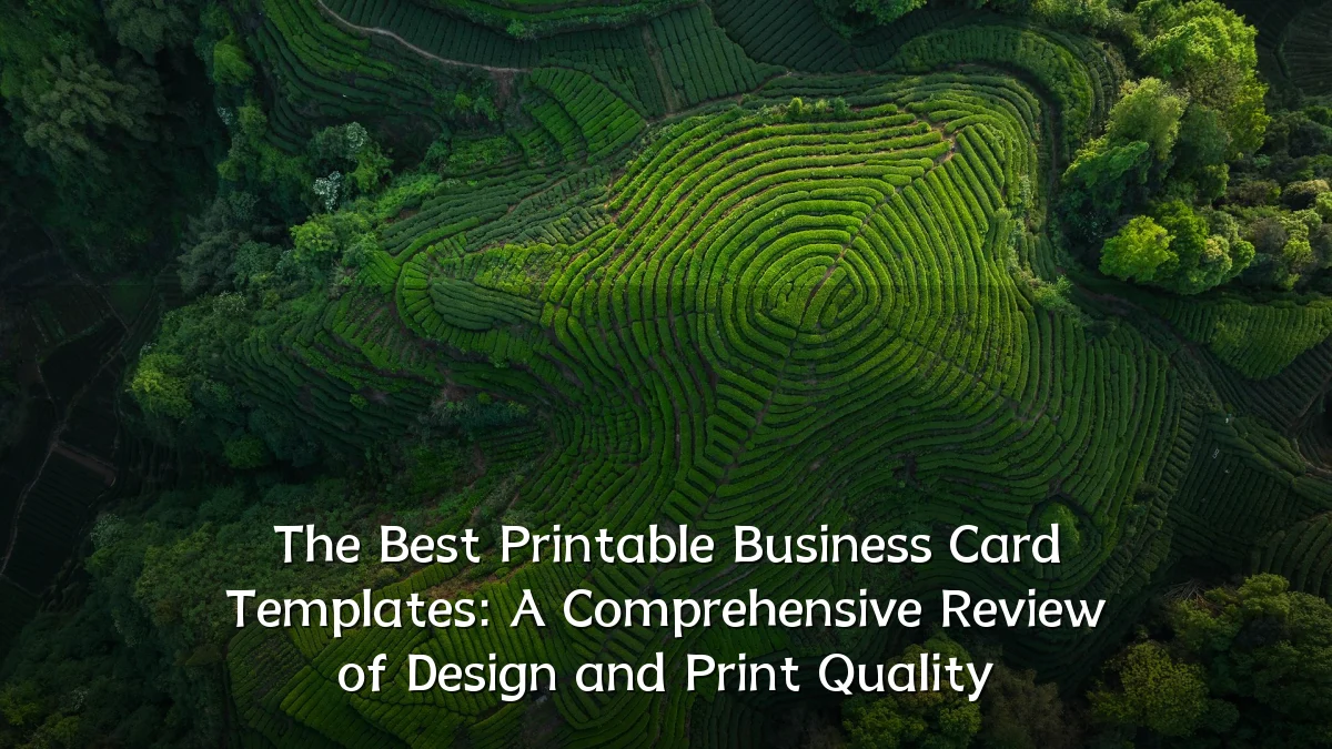 The Best Printable Business Card Templates: A Comprehensive Review of Design and Print Quality
