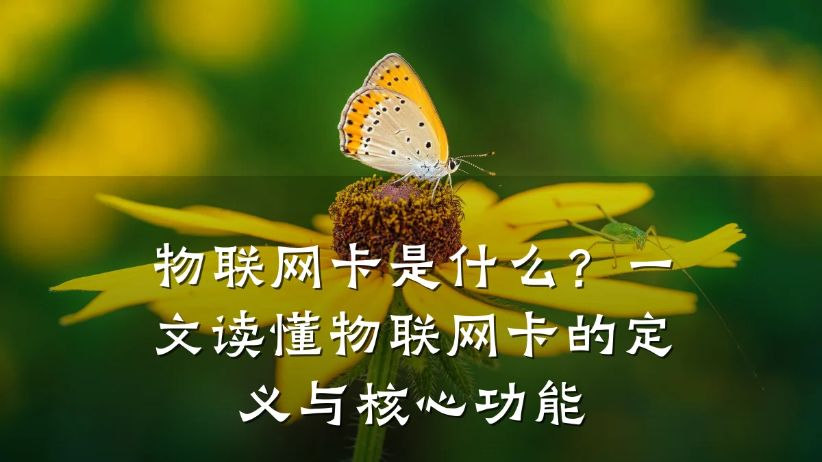 物联网卡是什么?一文读懂物联网卡的定义与核心功能