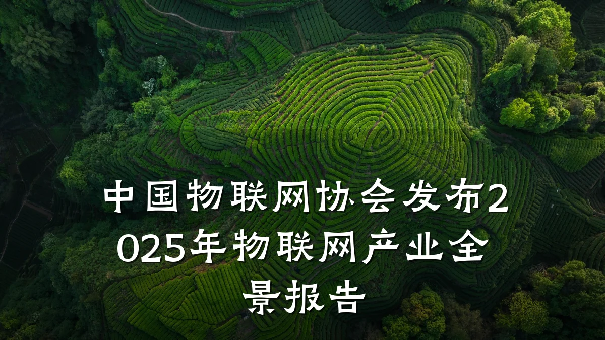 中国物联网协会发布2025年物联网产业全景报告