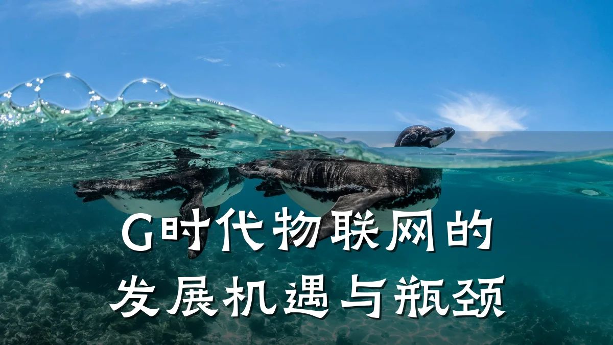 G时代物联网的发展机遇与瓶颈