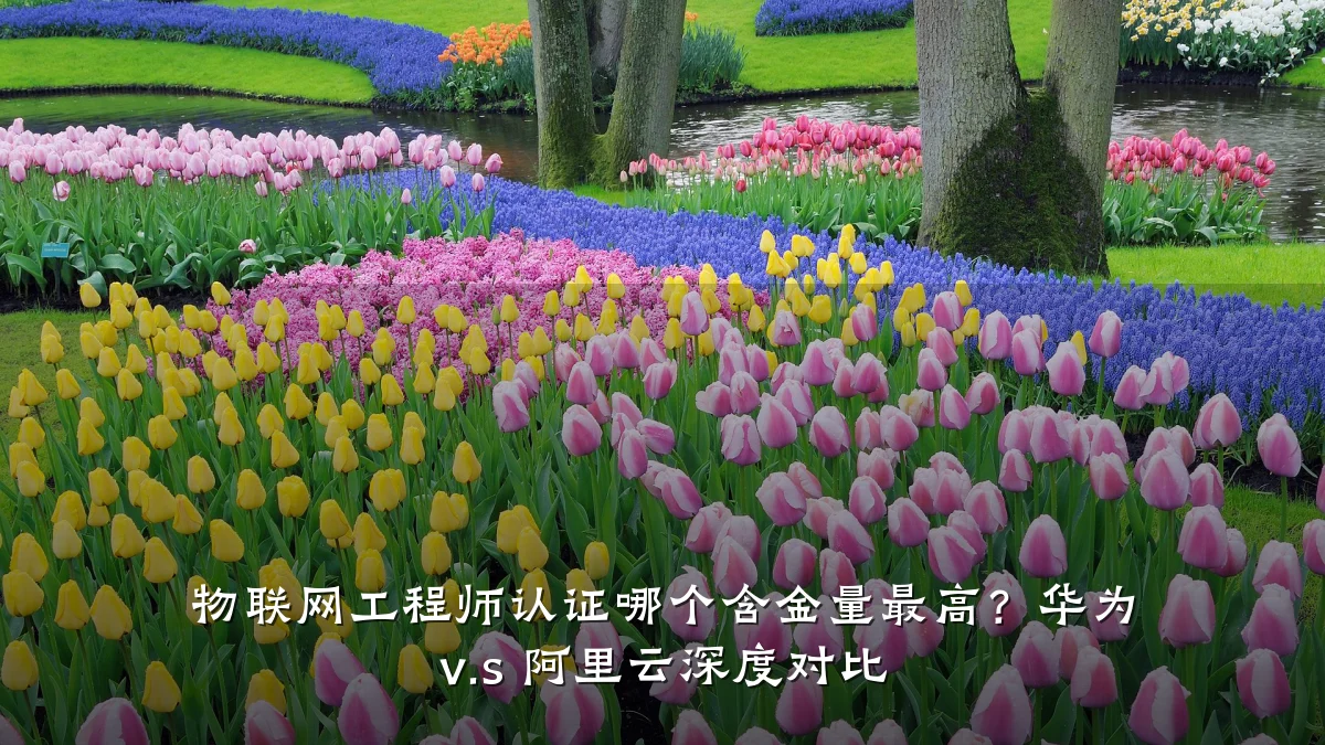 物联网工程师认证哪个含金量最高?华为 v.s 阿里云深度对比