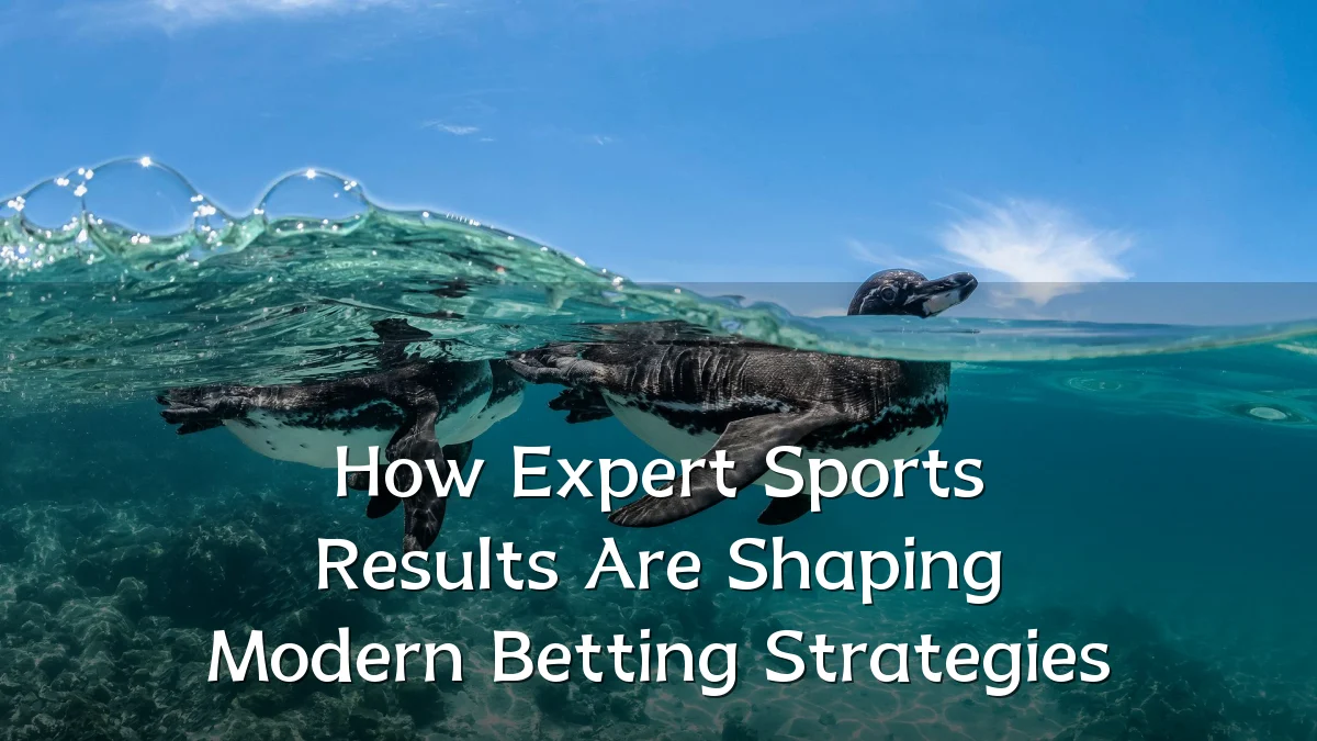 How Expert Sports Results Are Shaping Modern Betting Strategies