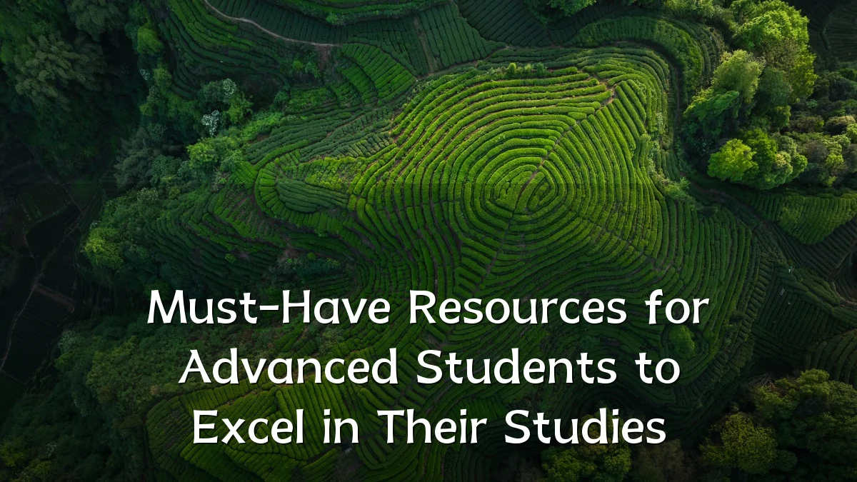 Must-Have Resources for Advanced Students to Excel in Their Studies