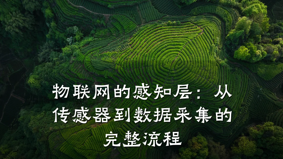 物联网的感知层:从传感器到数据采集的完整流程