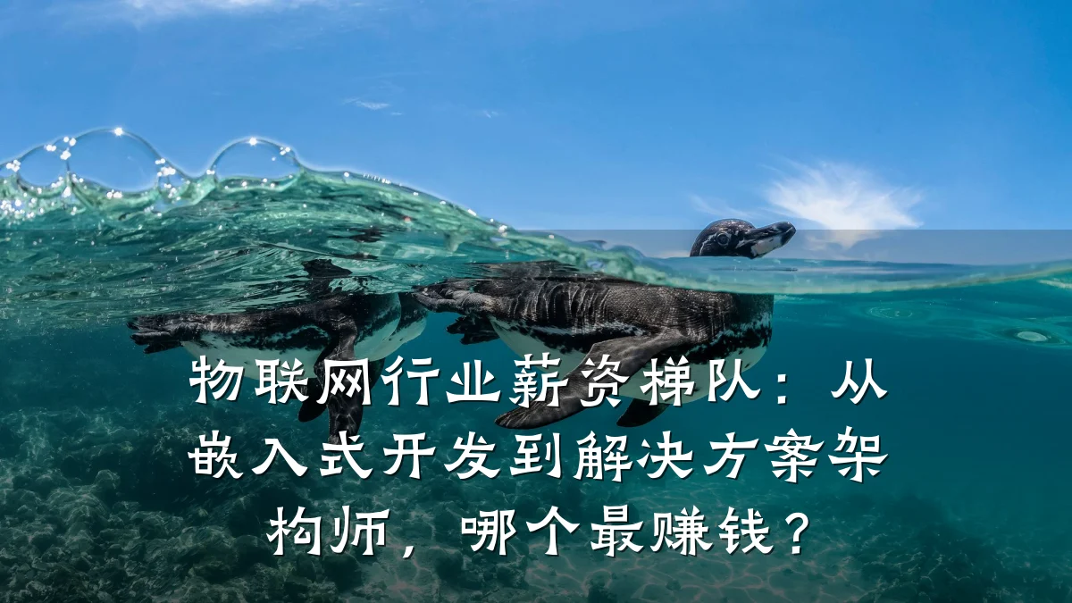 物联网行业薪资梯队:从嵌入式开发到解决方案架构师,哪个最赚钱?