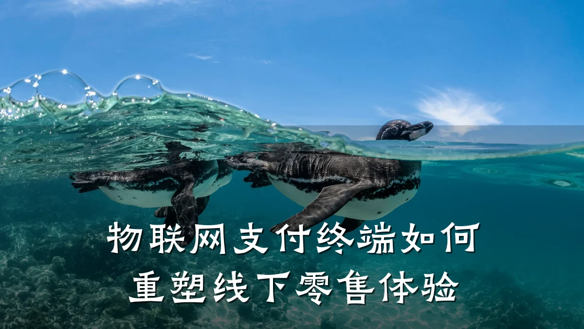 物联网支付终端如何重塑线下零售体验