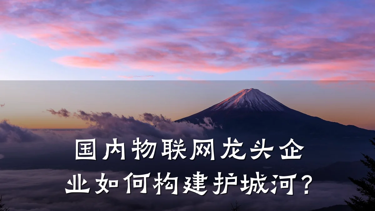 国内物联网龙头企业如何构建护城河?