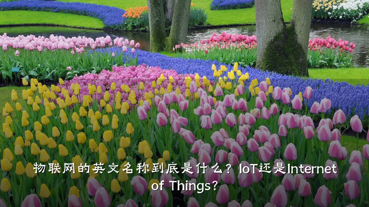 物联网的英文名称到底是什么?IoT还是Internet of Things?