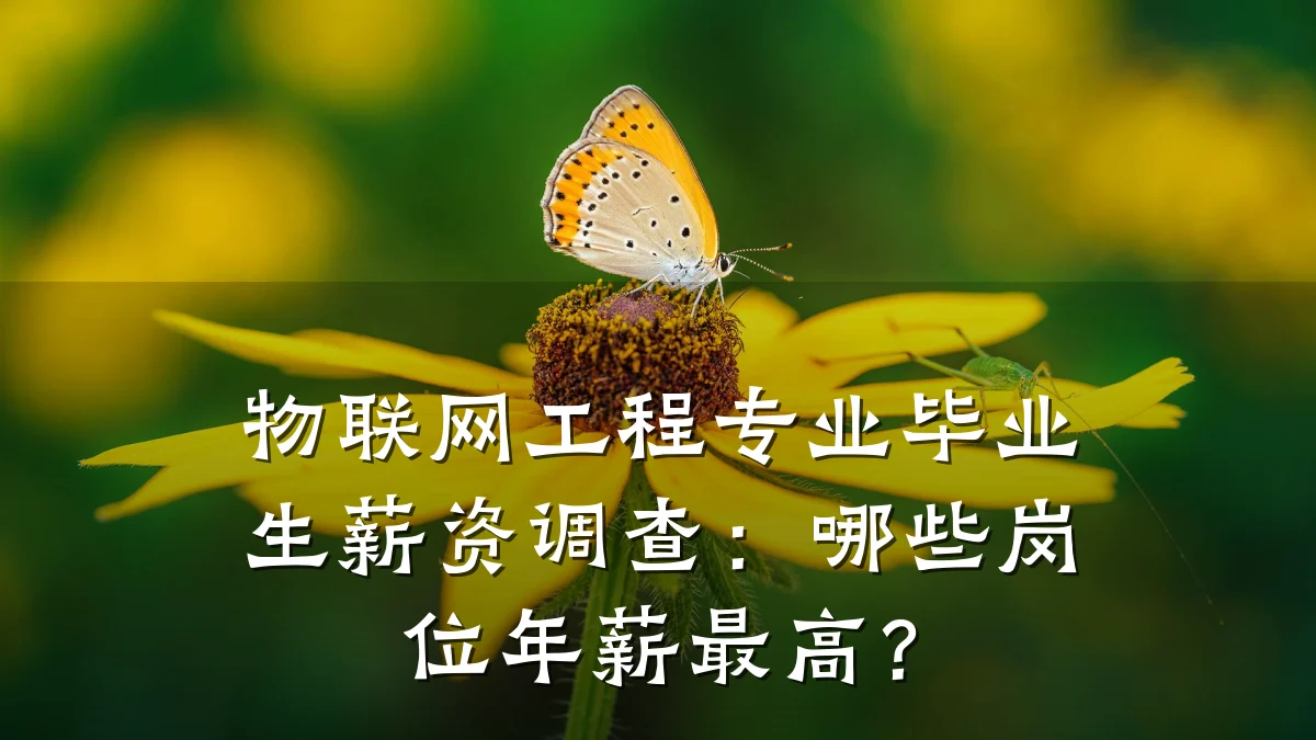 物联网工程专业毕业生薪资调查:哪些岗位年薪最高?