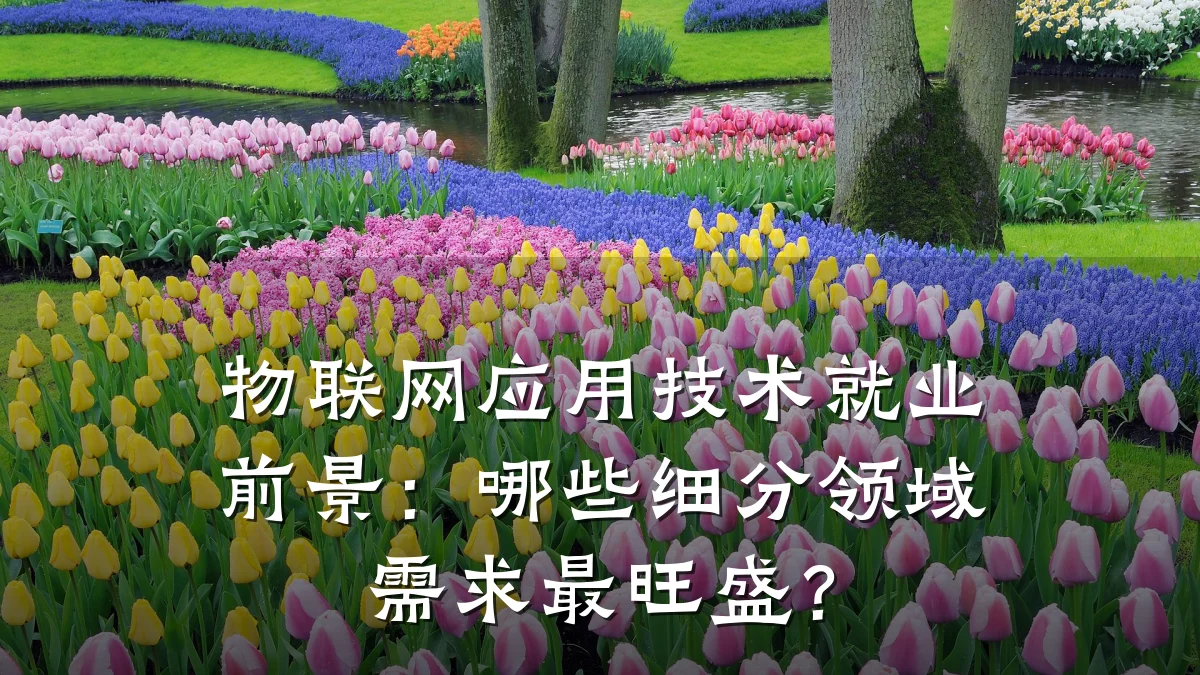 物联网应用技术就业前景:哪些细分领域需求最旺盛?