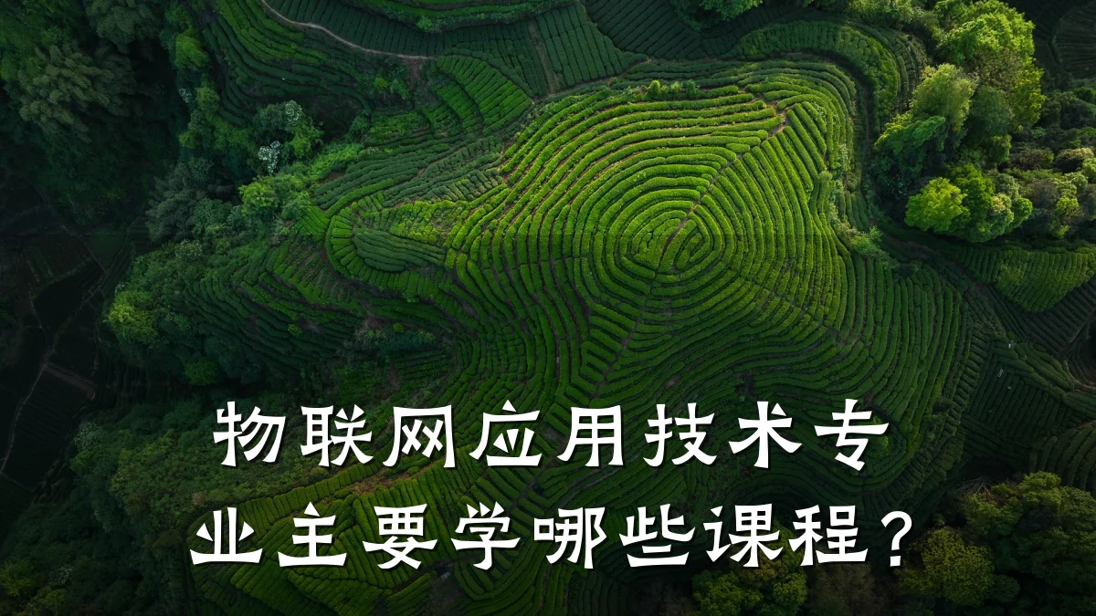 物联网应用技术专业主要学哪些课程?