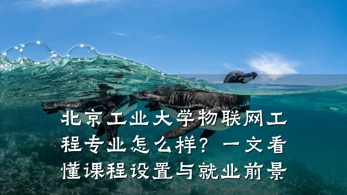北京工业大学物联网工程专业怎么样？一文看懂课程设置与就业前景