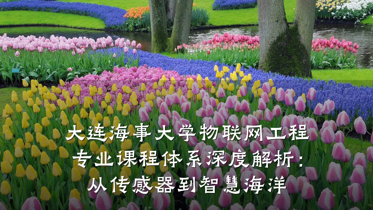 大连海事大学物联网工程专业课程体系深度解析:从传感器到智慧海洋