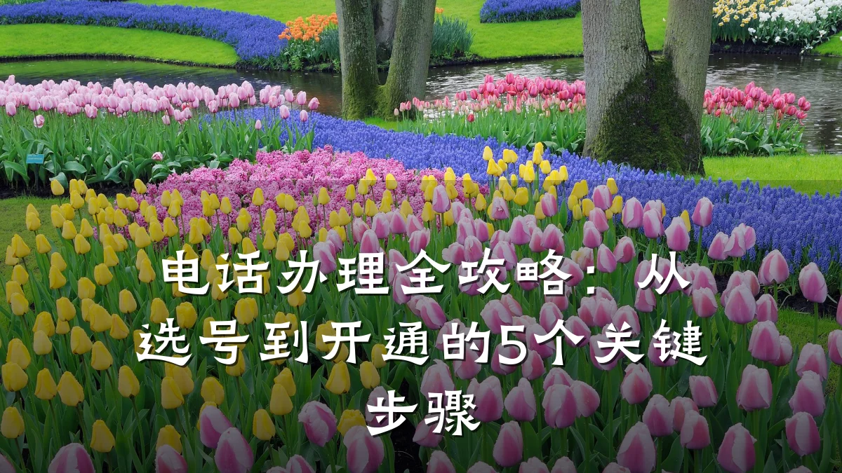 电话办理全攻略:从选号到开通的5个关键步骤
