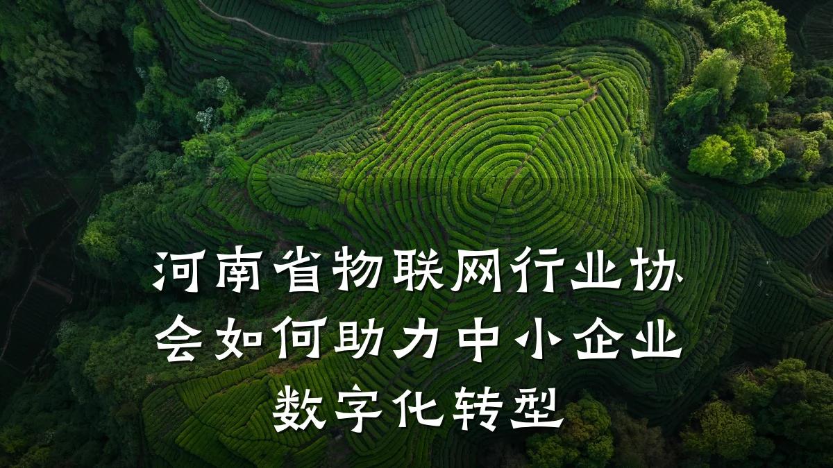 河南省物联网行业协会如何助力中小企业数字化转型