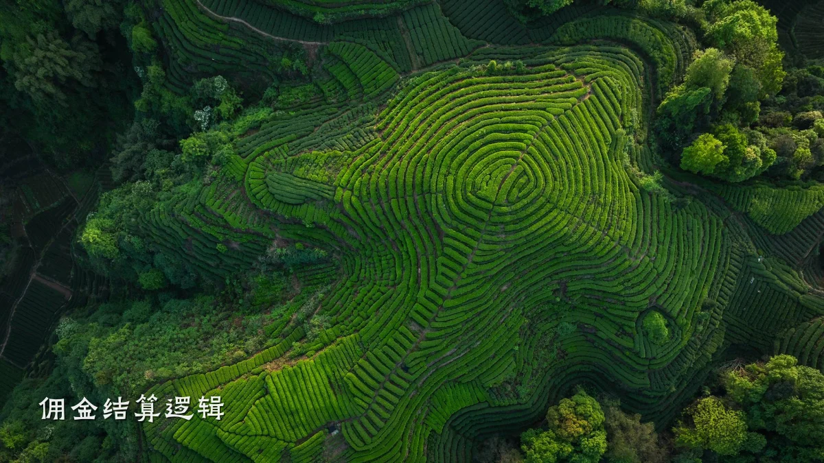 佣金结算逻辑