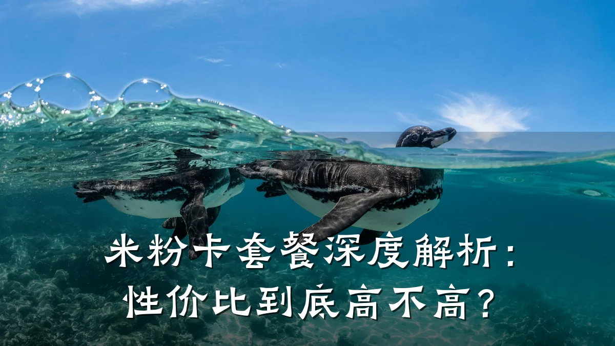 米粉卡套餐深度解析：性价比到底高不高？