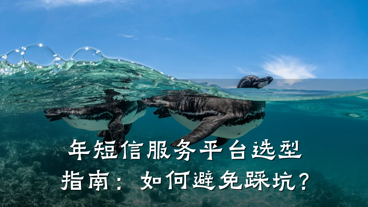 年短信服务平台选型指南:如何避免踩坑?