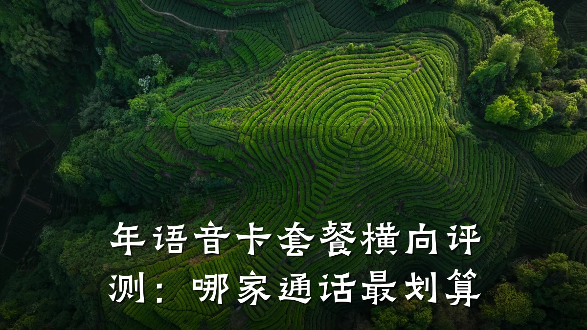 年语音卡套餐横向评测:哪家通话最划算