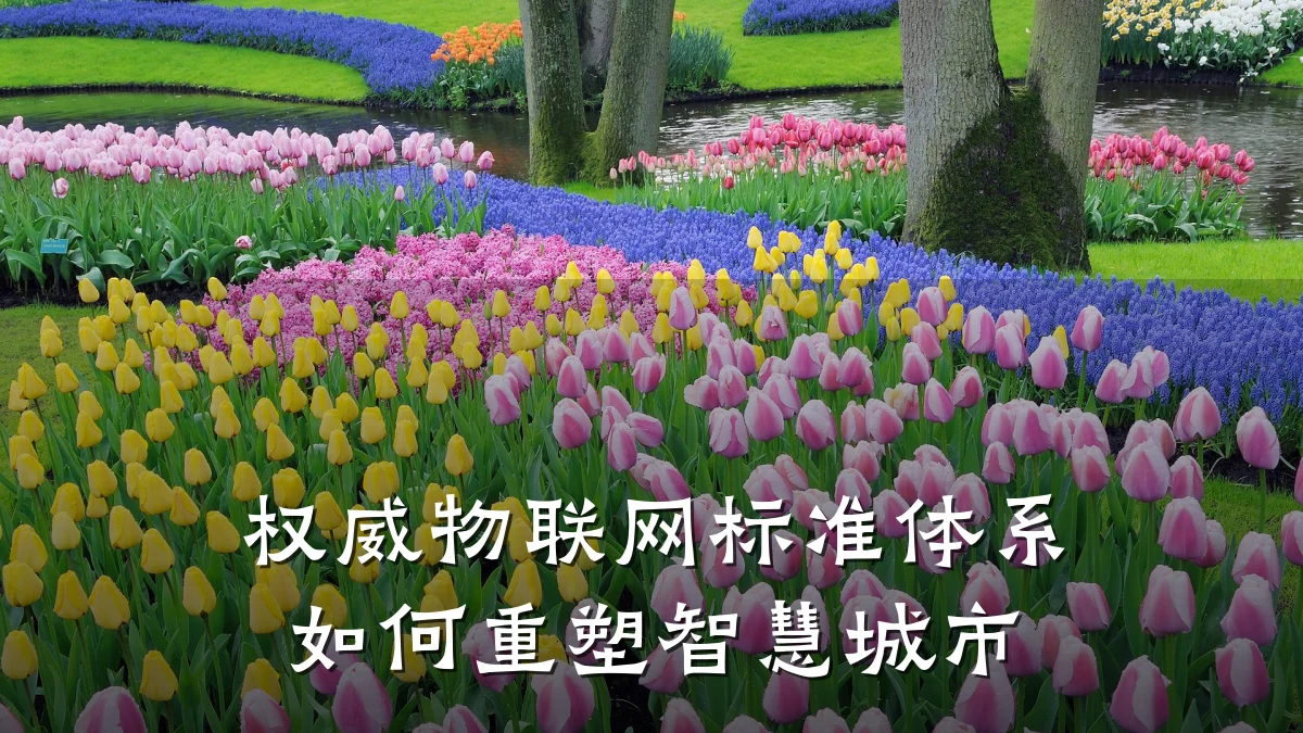 权威物联网标准体系如何重塑智慧城市