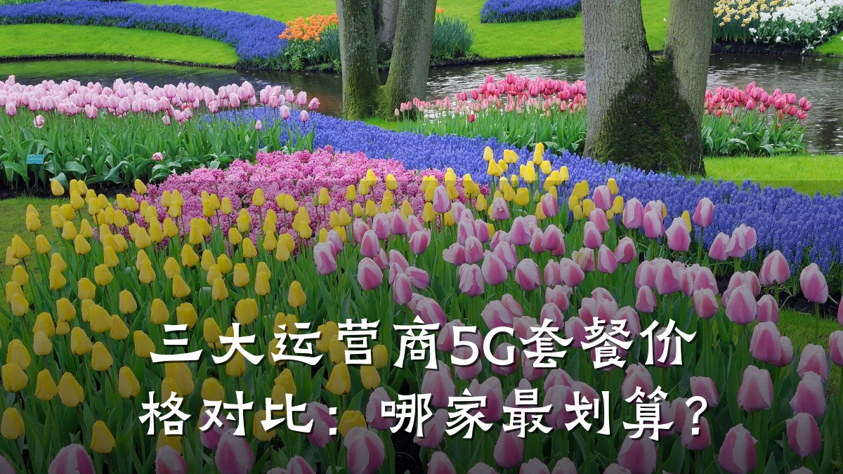 三大运营商5G套餐价格对比:哪家最划算?