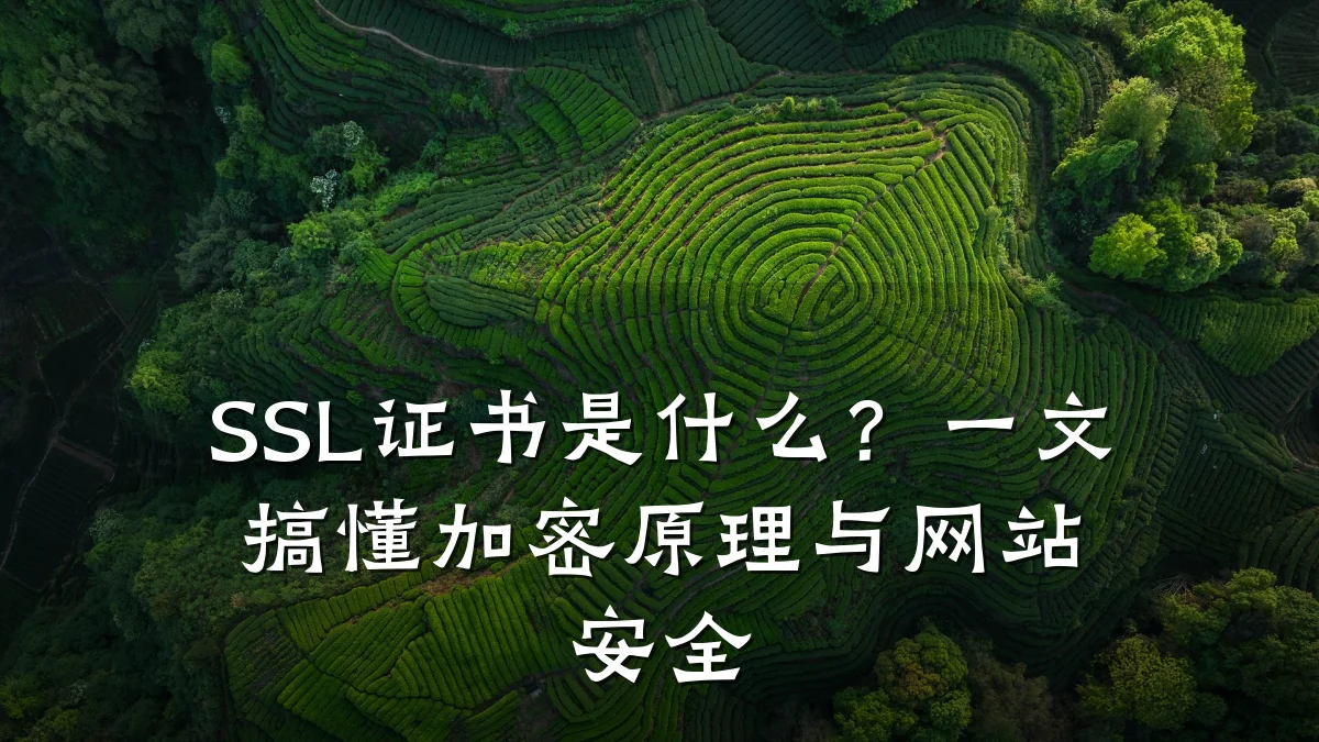 SSL证书是什么?一文搞懂加密原理与网站安全