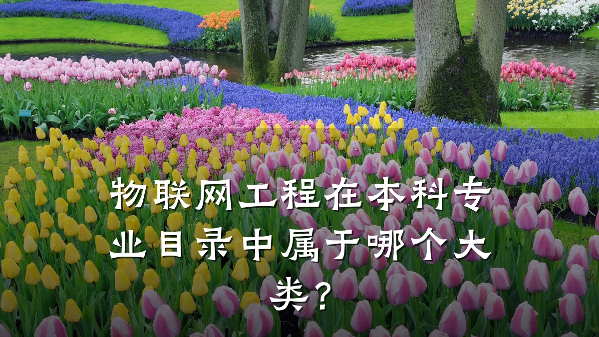 物联网工程在本科专业目录中属于哪个大类?