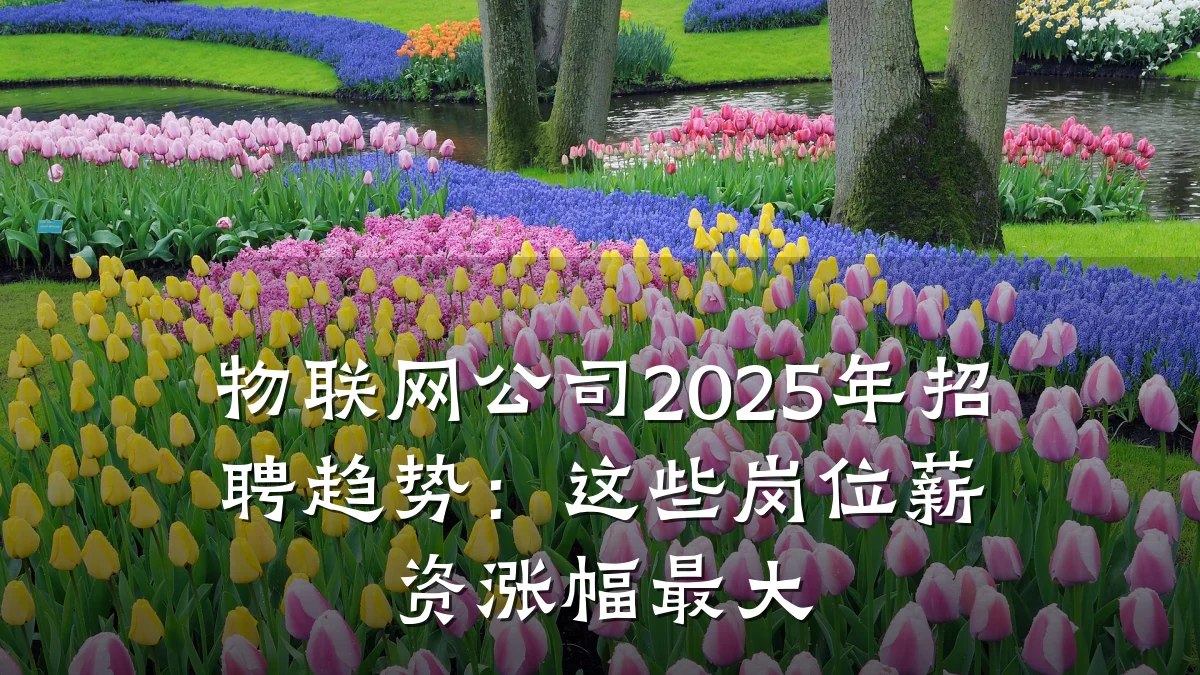 物联网公司2025年招聘趋势:这些岗位薪资涨幅最大