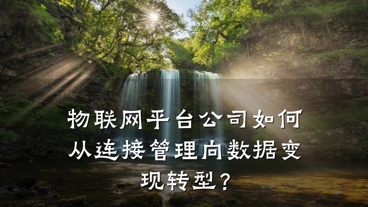 物联网平台公司如何从连接管理向数据变现转型?