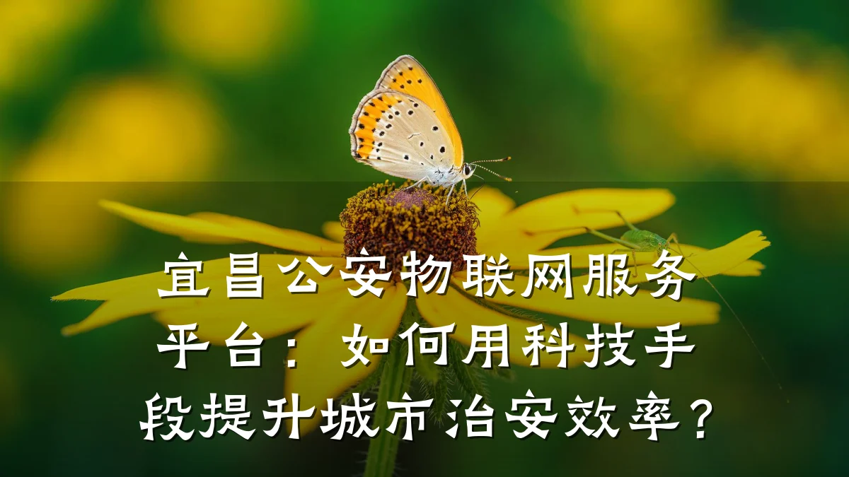 宜昌公安物联网服务平台:如何用科技手段提升城市治安效率?