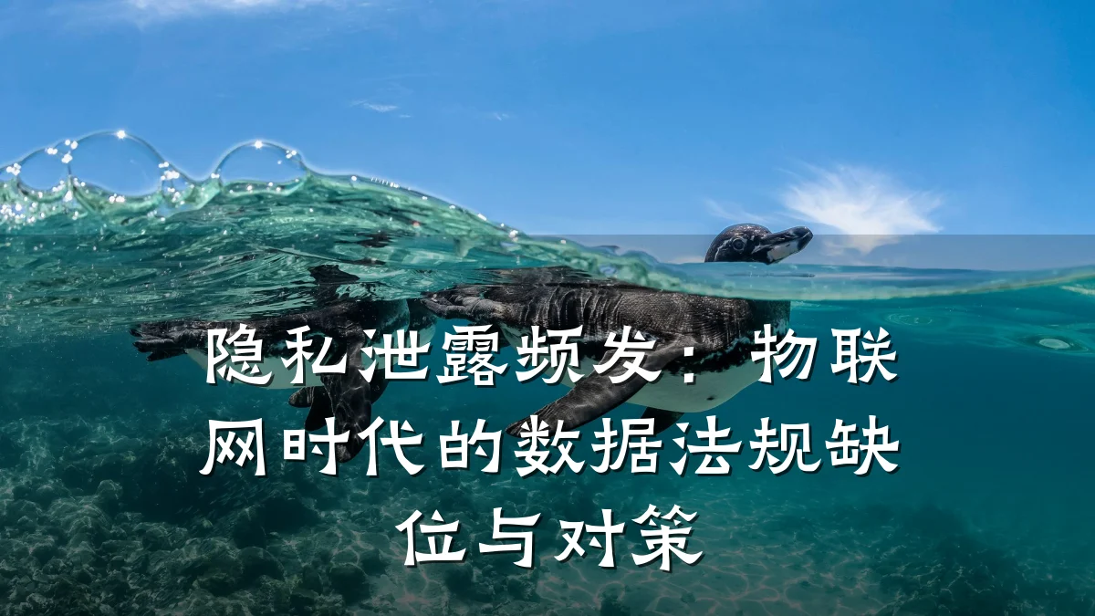 隐私泄露频发:物联网时代的数据法规缺位与对策
