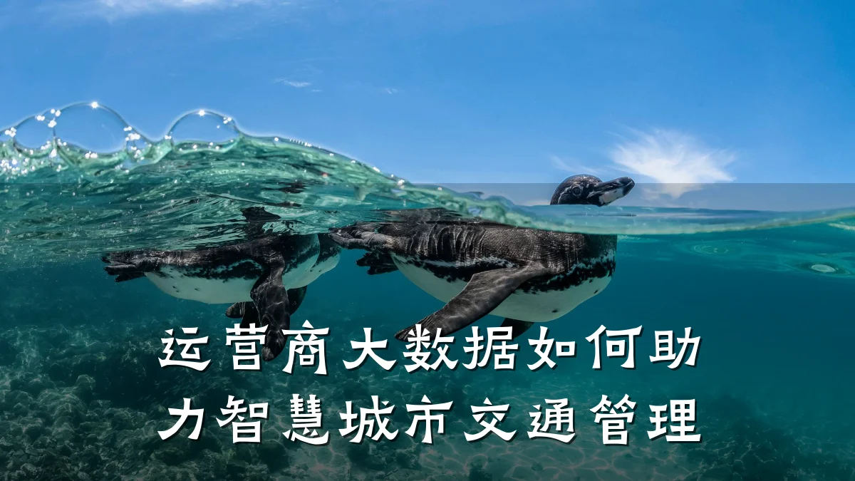 运营商大数据如何助力智慧城市交通管理